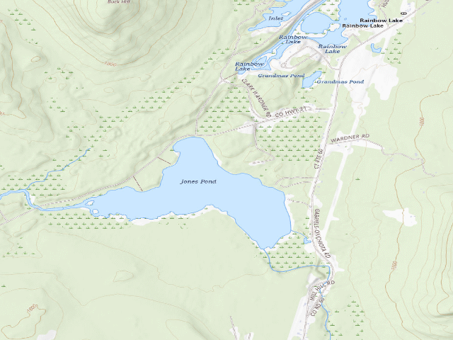USGS topographic map of Jones Pond Campsite #5 (Debar Mountain Wild Forest)