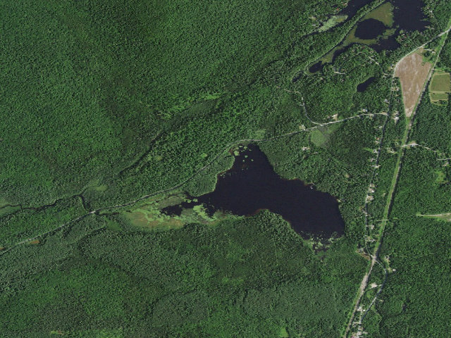 Aerial image of Jones Pond Campsite #6 (Debar Mountain Wild Forest)