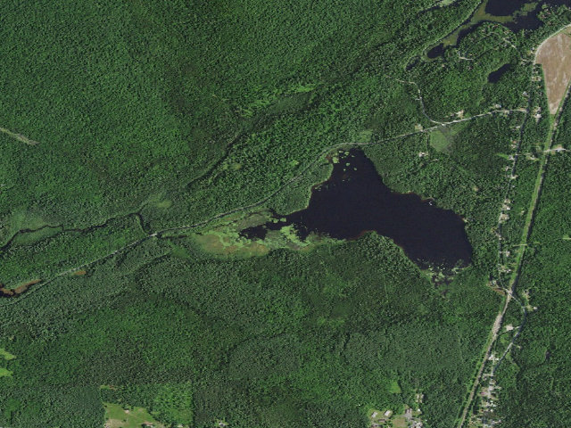 Aerial image of Jones Pond Campsite #7 (Debar Mountain Wild Forest)