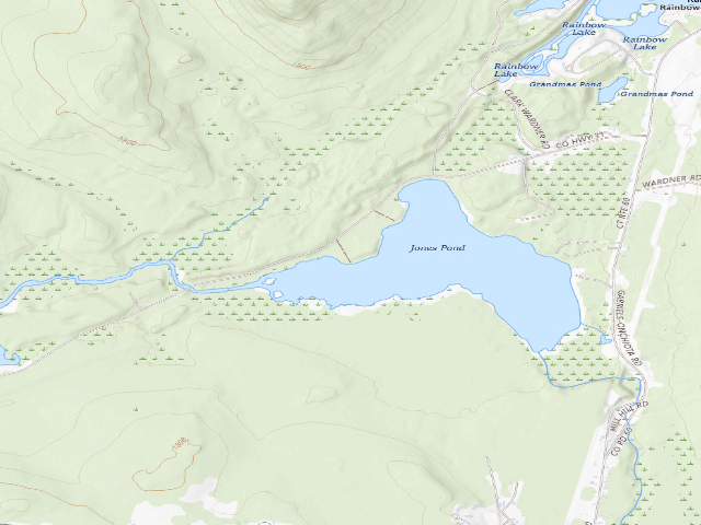 USGS topographic map of Jones Pond Campsite #7 (Debar Mountain Wild Forest)