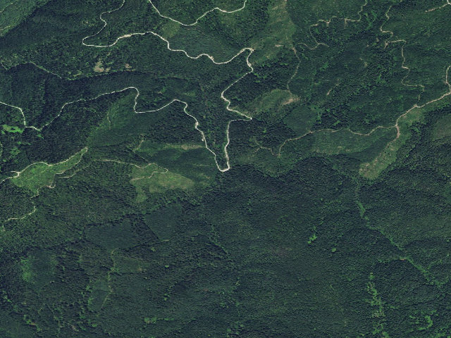 Aerial image of Joy Creek Camp