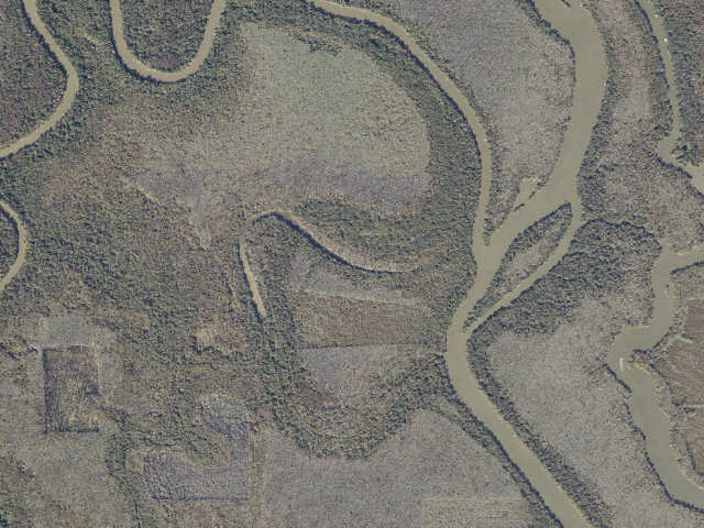 Aerial image of Jug Lake floating camping platform (Bartram Canoe Trail, Upper Mobile-Tensaw Delta)