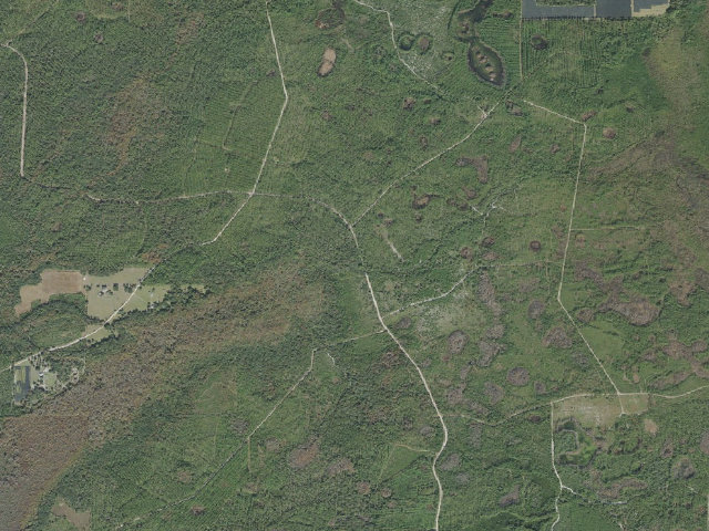 Aerial image of Jumping Gully group campsite (Lake George Conservation Area)