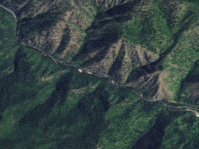 Aerial image of Jungle Creek Campground