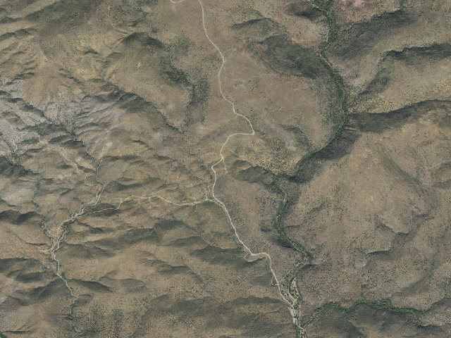 Aerial image of Juniper