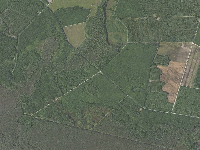 Aerial image of Juniper Creek Game Land camping area #1