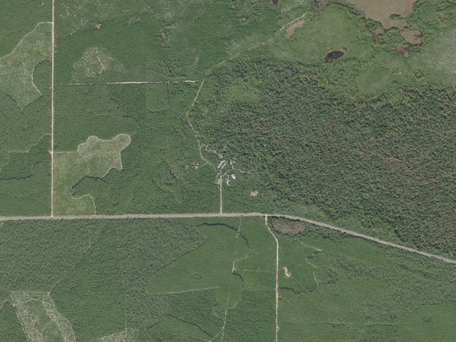 Aerial image of Juniper Springs