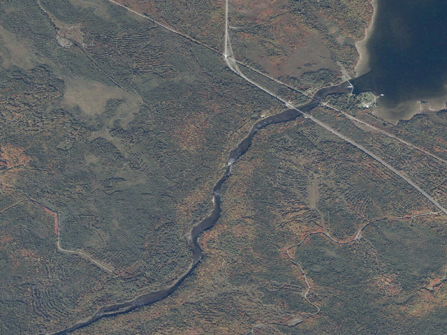 Aerial image of K1 (Moosehead Lake Shoreline Public Land)