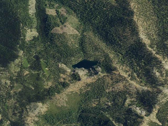 Aerial image of Kangaroo
