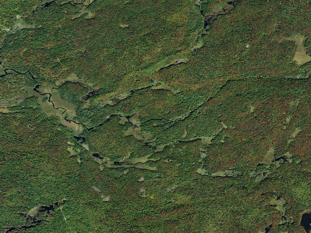 Aerial image of Keck Trail Site 1 (Watsons East Triangle Wild Forest)