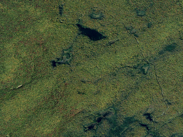 Aerial image of Keck Trail Site 4 (Watsons East Triangle Wild Forest)