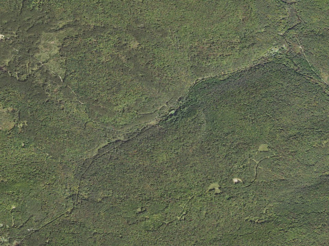 Aerial image of Kelly Pines Campground