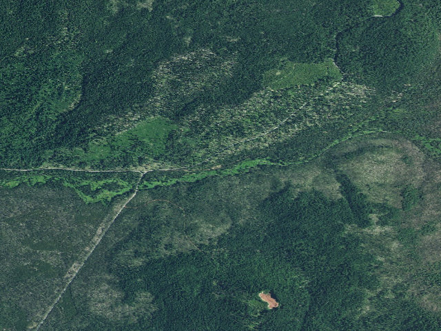 Aerial image of Kelsay Valley Forest Camp