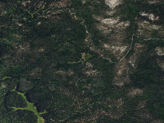 Aerial image of Kelty Meadow