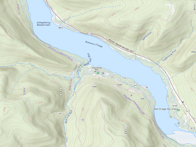USGS topographic map of Kiasutha Rec Area