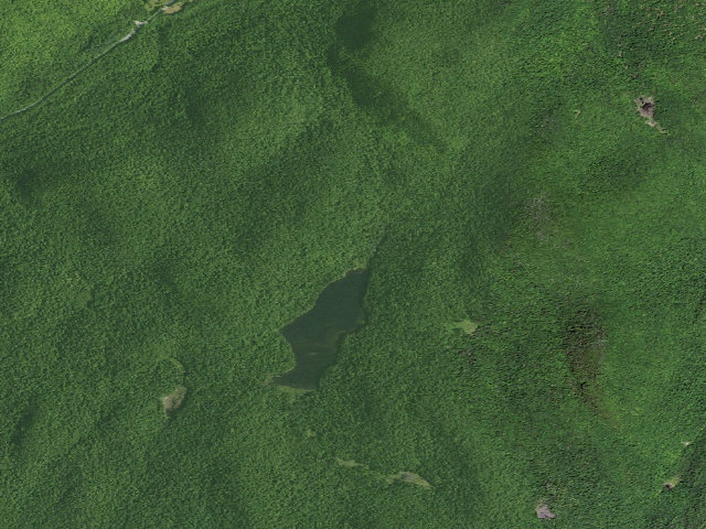 Aerial image of Kibby Pond Campsite #3 (Wilcox Lake Wild Forest)