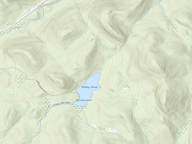 USGS topographic map of Kibby Pond Campsite #3 (Wilcox Lake Wild Forest)