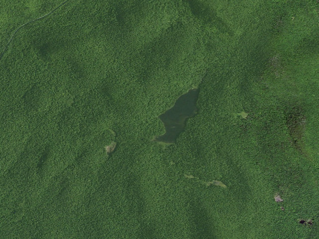Aerial image of Kibby Pond Trail Campsite (Wilcox Lake Wild Forest)