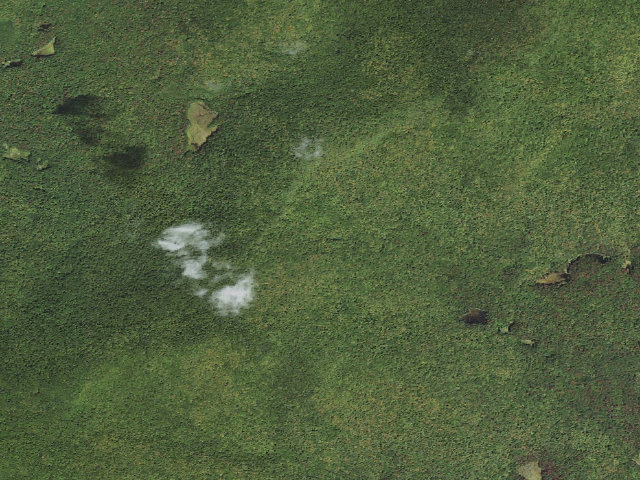 Aerial image of Kid Gore Shelter