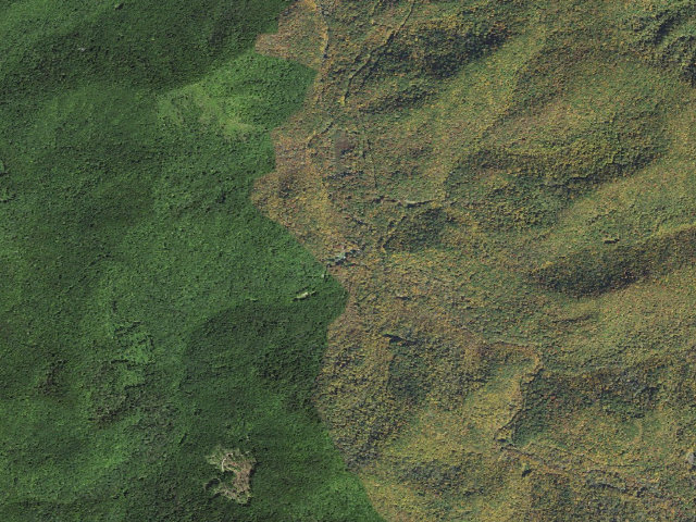 Aerial image of Kimsey Creek Group Campground