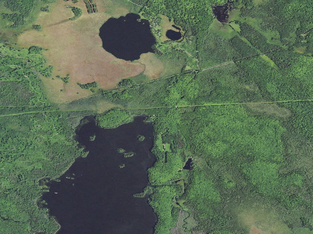 Aerial image of King Lake State Forest Campground