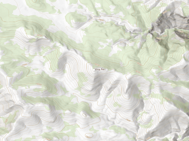 USGS topographic map of King Top