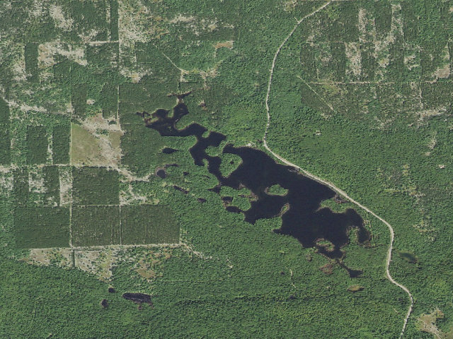 Aerial image of Kingston Lake State Forest Campground