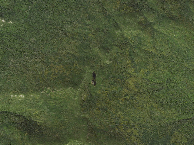 Aerial image of Kinsman Pond