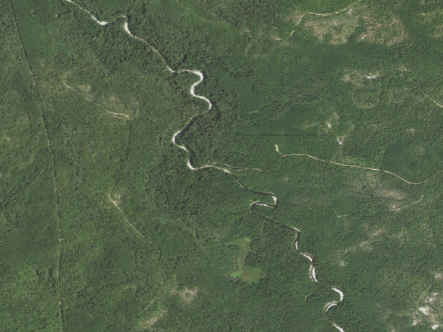 Aerial image of Kisatchie Bayou Campground