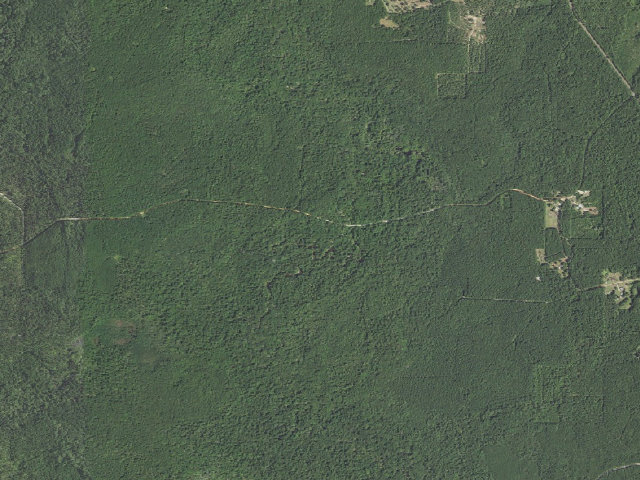 Aerial image of Kisatchie National Forest