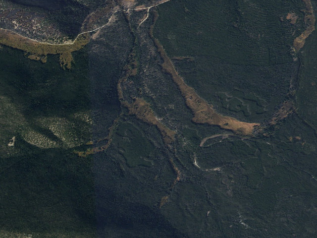 Aerial image of Knapp Weed