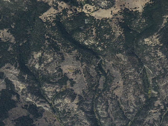 Aerial image of Knapp Weed