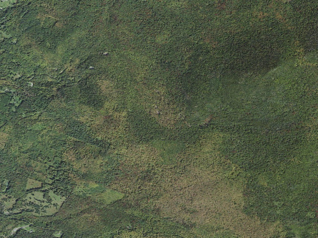 Aerial image of L.R. Jones State Forest primitive camping area
