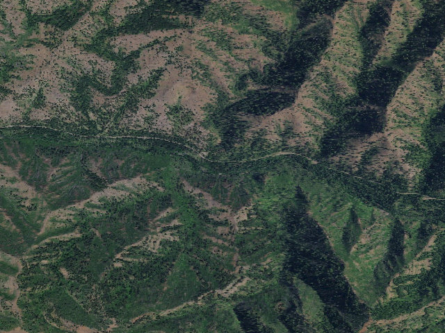 Aerial image of Ladybug