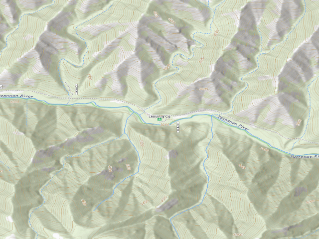 USGS topographic map of Ladybug