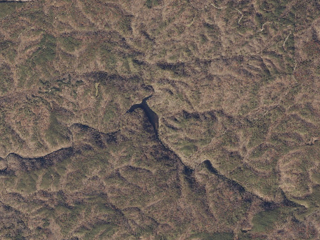 Aerial image of Lake Chinnabee