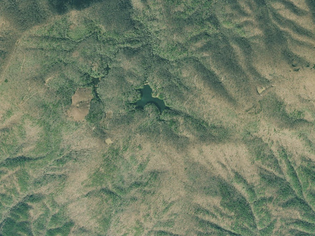 Aerial image of Lake Conasauga Overflow