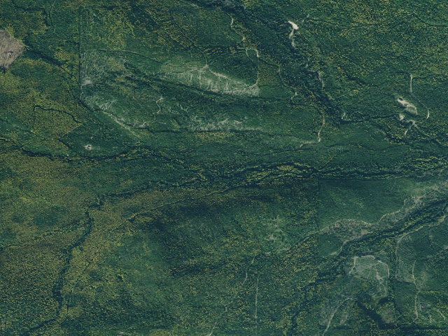 Aerial image of Lake Creek Campground