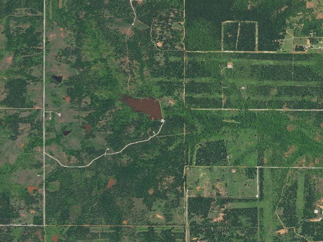 Aerial image of Lake Dahlgren (Lexington WMA)