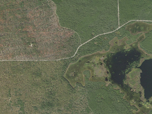 Aerial image of Lake Delancy East
