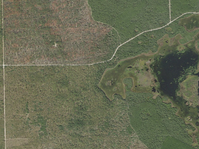 Aerial image of Lake Delancy West Recreation Area