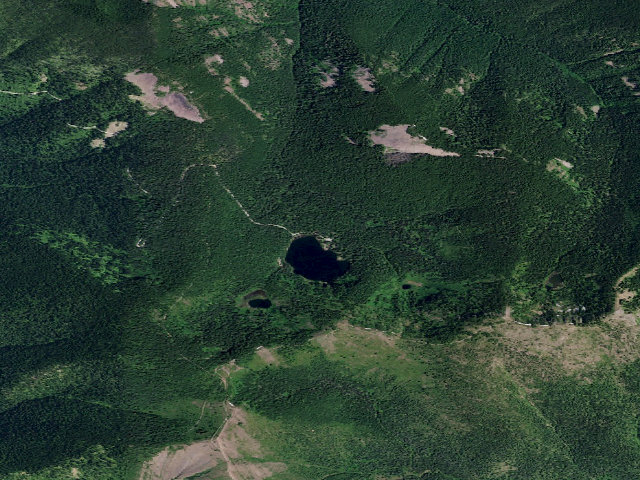 Aerial image of Lake Elsie, Site 6