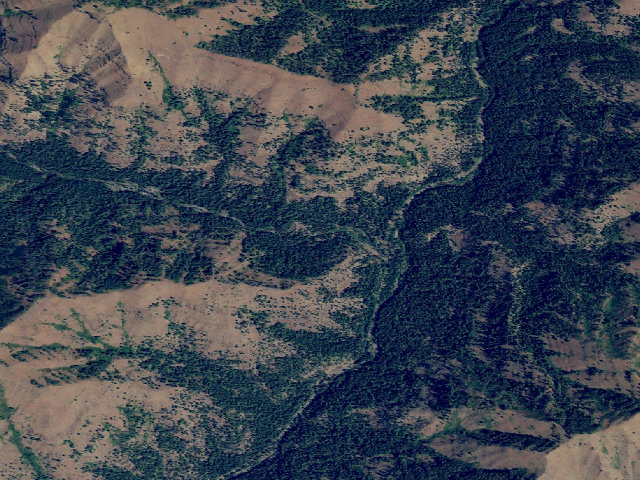 Aerial image of Lake Fork Campground