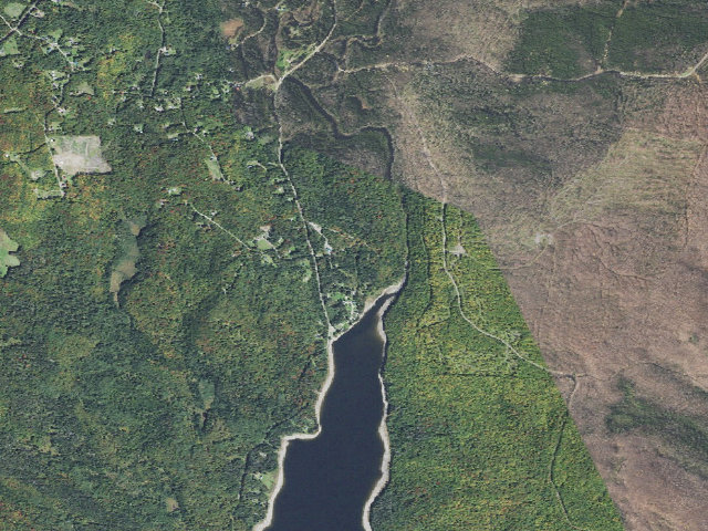 Aerial image of Lake Francis State Park