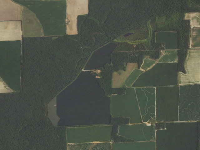 Aerial image of Lake Hogue Camping Area #2