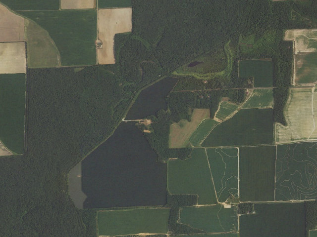 Aerial image of Lake Hogue Camping Area #3