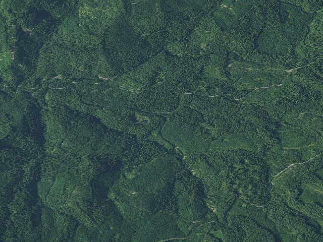 Aerial image of Lake In The Woods