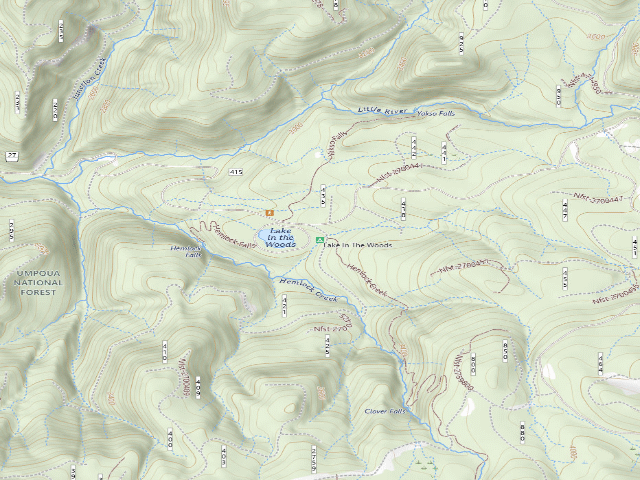 USGS topographic map of Lake In The Woods