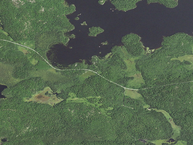 Aerial image of Lake Jeanette Campground