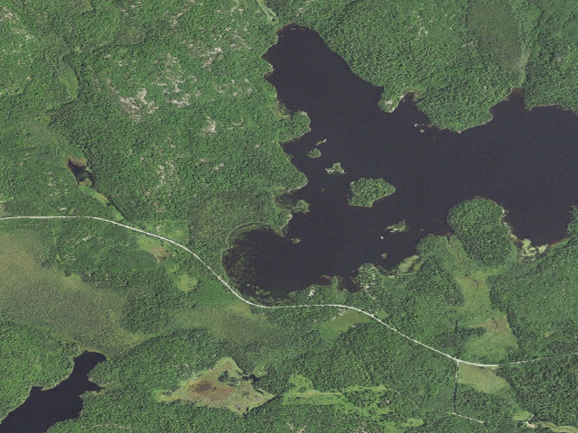 Aerial image of Lake Jeanette Site 1